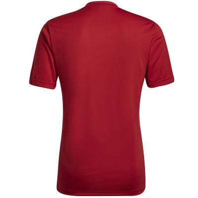 9. adidas Entrada 22 Graphic Jersey M HB0572