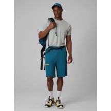 Men's quick-drying trekking shorts 4F 4FRSS26TFSHM1680-30S