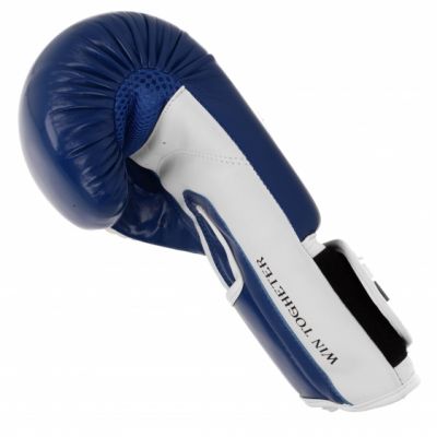 6. Masters Boxing Gloves Rpu-PZKB 011001-02 10 oz