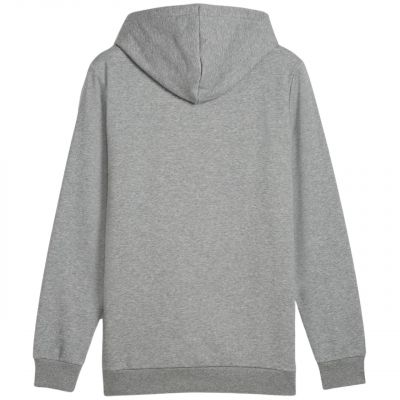 2. Puma Ess+ Logo LAB Gradient Hoodie FL M 681775 03