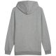2. Puma Ess+ Logo LAB Gradient Hoodie FL M 681775 03