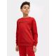3. Sweatshirt 4F Jr. 4FJSS23TSWSM222-62S