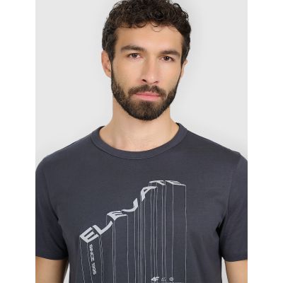 5. Men's regular printed T-shirt 4F 4FRAW25TTSHM3845-22S