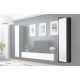 6. VIGO full display cabinet '180' 180/40/30 gray/white