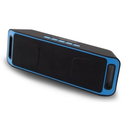 3. Esperanza FOLK EP126KB Bluetooth Speakers (Black and Blue)