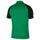 4. T-shirt Nike Trophy IV Y Jsy Jr BV6749 302