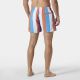 6. Helly Hansen Newport Trunk M 34296 304 Swim Shorts