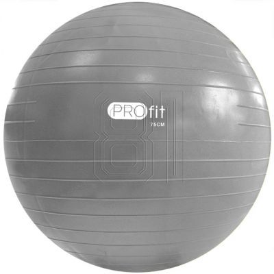204. PROfit gym ball 55cm black with pump DK2102