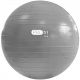 204. PROfit gym ball 55cm black with pump DK2102