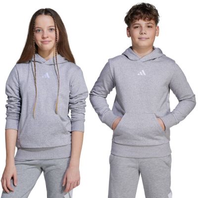 adidas Essentials Hoodie for kids gray JV9995