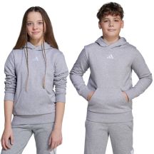 adidas Essentials Hoodie for kids gray JV9995