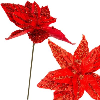 9. STAR OF BETHLEHEM 30CM