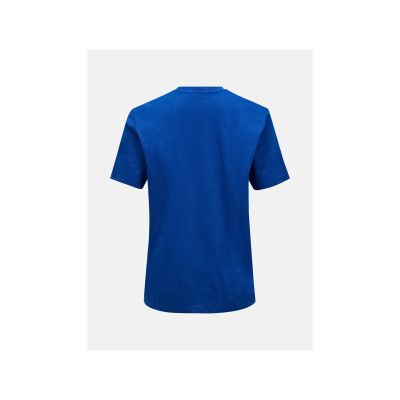 2. PEAK PERFORMANCE M Explore Graphic Tee Men's T-Shirt Blue