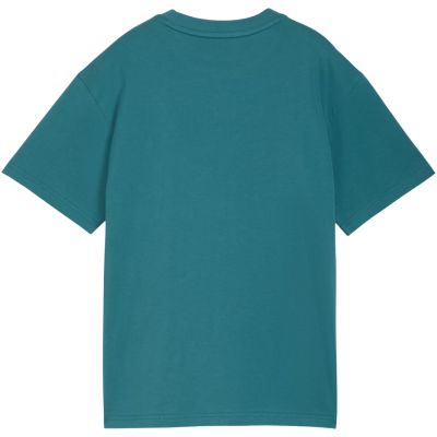 3. Puma ESS Small No. 1 Logo Relaxed Tee for Kids Green 684920 41