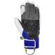 Reusch Worldcup Warrior SC Gloves
