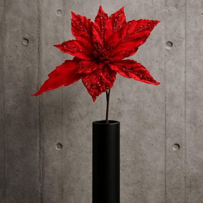 6. STAR OF BETHLEHEM 30CM