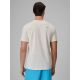 2. Men's regular printed T-shirt 4F 4FRSS26TTSHM4295-11S