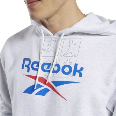 5. Reebok Classic Vector Hoodie M FT7297