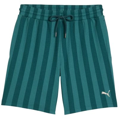2. Puma Class 8 men's shorts green 692355 41