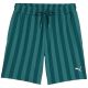 2. Puma Class 8 men's shorts green 692355 41