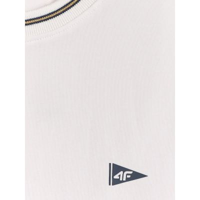 6. Plain Regular-Fit Men’s T-Shirt 4F 4FRSS26TTSHM3997-10S