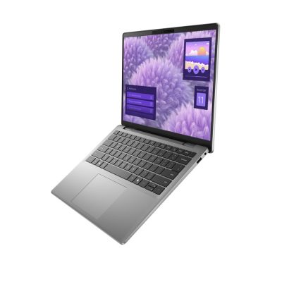 24. Dell I14-5441421001602SAK1 Snapdragon X Plus X1P-42-100 14" WUXGA AG 16GB SSD1TB BT BLKB Win11 Titan Gray (REPACK) 2Y