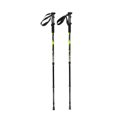 CMP Bern Trekking Poles green and black 3B36297 U911