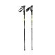 CMP Bern Trekking Poles green and black 3B36297 U911