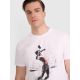 4. Men's regular t-shirt with volleyball print 4F 4FRAW25TTSHM3318-10S