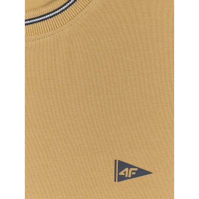 6. Men's regular plain T-shirt 4F 4FRSS26TTSHM3997-83S