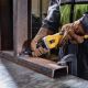 6. Straight grinder 1300W 25000rpm DWE4997 DEWALT