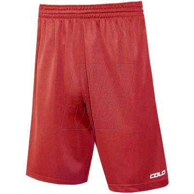 Colo Spring 03 Basketball Shorts