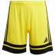 10. adidas Squadra 25 Jr JJ2421 Shorts