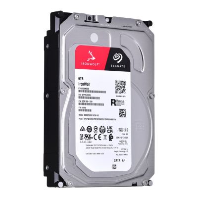 2. Seagate IronWolf 6TB 3.5" SATA ST6000VN006 HDD Hard Drive