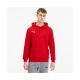4. Puma TeamGoal 23 Casuals M 656580-01 sweatshirt