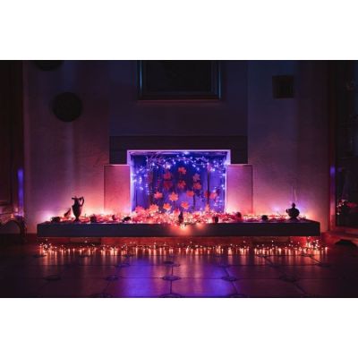 8. Twinkly Strings – 250 RGB+W String Light, transparent cable, Type F plug