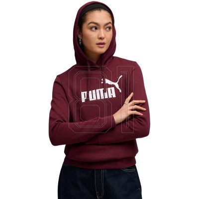 2. Puma ESS No.1 Logo Hoodie FL W 682389 96