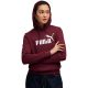 2. Puma ESS No.1 Logo Hoodie FL W 682389 96
