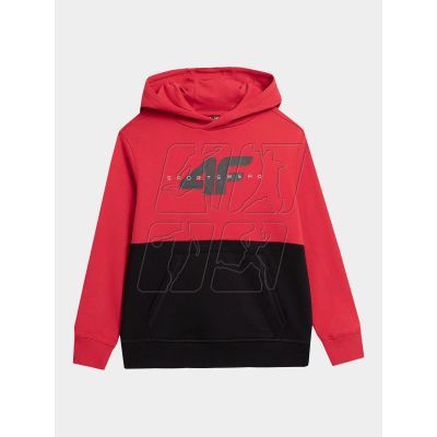 4F Jr sweatshirt 4FJAW23TSWSM628-62S