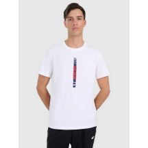 Men's regular printed T-shirt 4F 4FRAW25TTSHM3225-10S