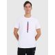 Men's regular printed T-shirt 4F 4FRAW25TTSHM3225-10S