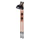 NORDI Nordic walking poles