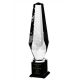7. Engraved glass trophy with case + paint filling