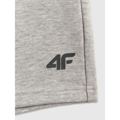 8. Men's sweatpants 4F 4FRSS26TSHOM0970-27M