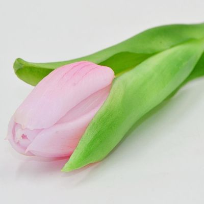8. PINK TULIP 31CM LIFE-LIKE SPRING DECORATION