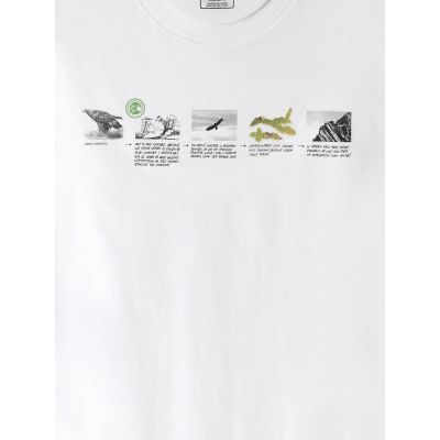 6. Men's regular printed T-shirt 4F 4FKAW26TTSHM4476-10S