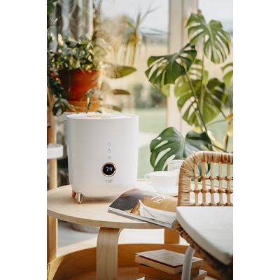 10. Adler AD 7972 Ultrasonic Air Humidifier 4l White 23W