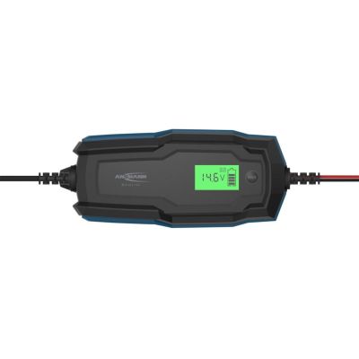 2. ANSMANN BC 6-12V/6A battery charger