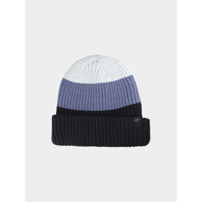 Men's winter beanie hat 4F 4FWAW25ACAPM629-20S