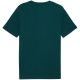 4. Puma Ess 2 Color Small No. 1 Logo Tee Sea Green 684717 75